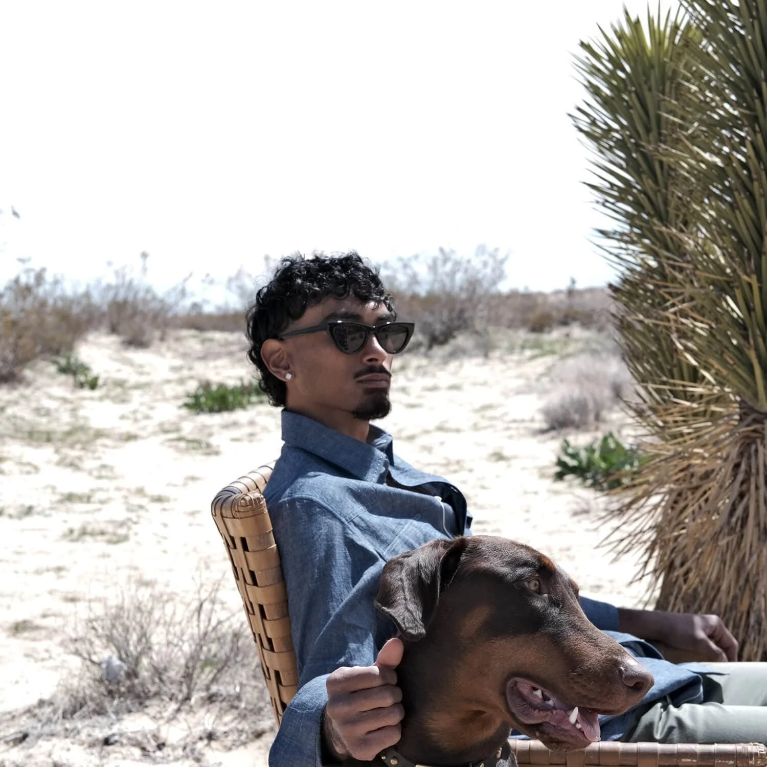 Frontier Denim Western Shirt - Image 4